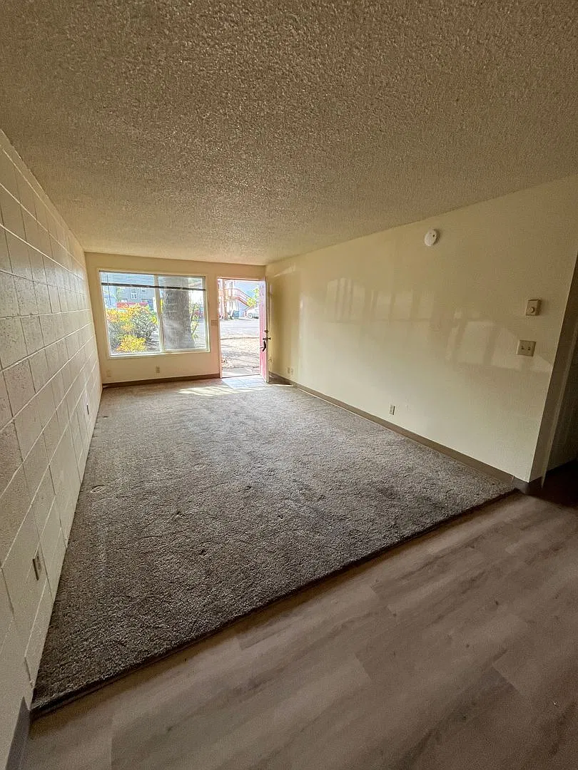 (CAM 8) ~ Spacious 1-bedroom Unit near Campus — Photo 4
