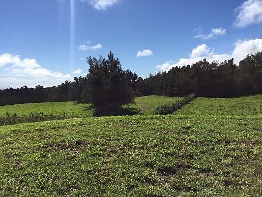 4th image of Lot 11