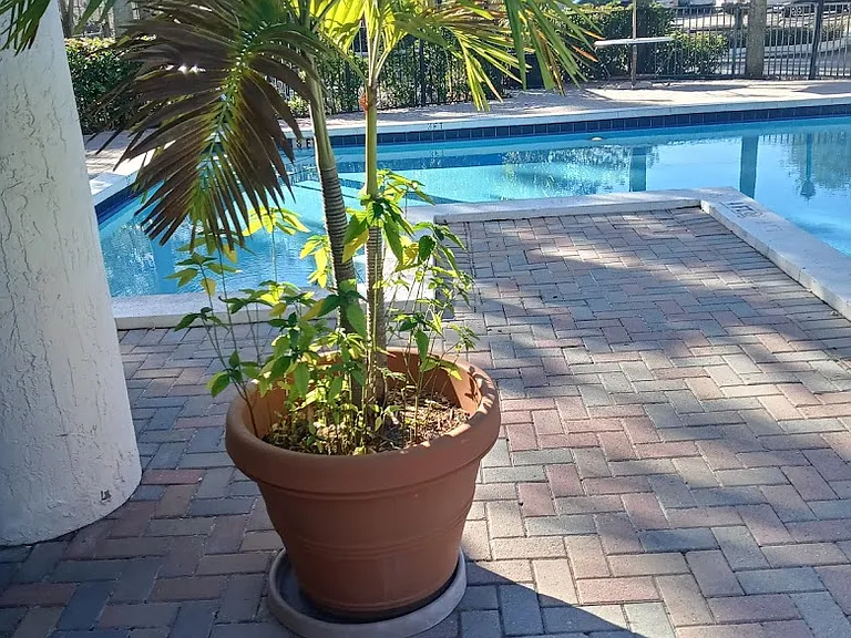 2445 SW 18th Ter #703 — Photo 23