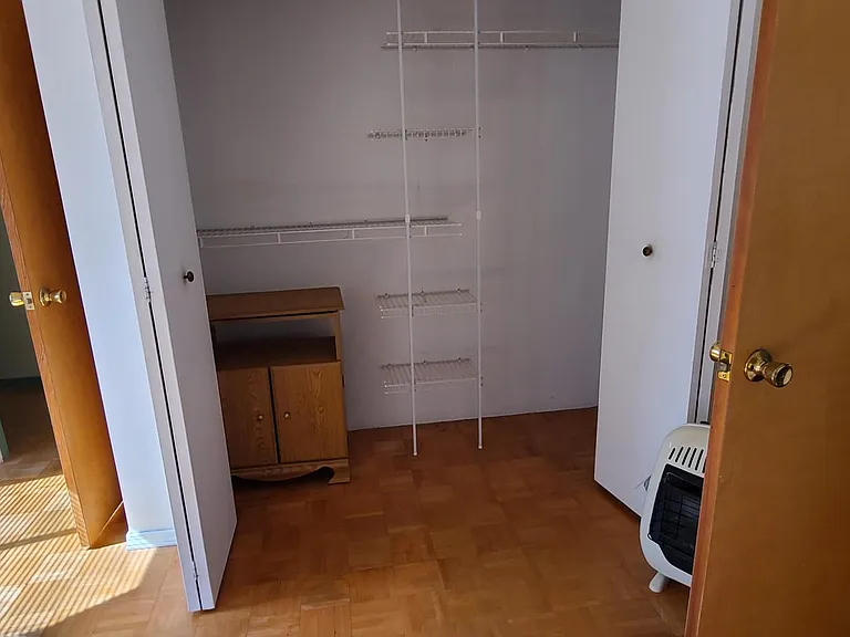 Closet in Master