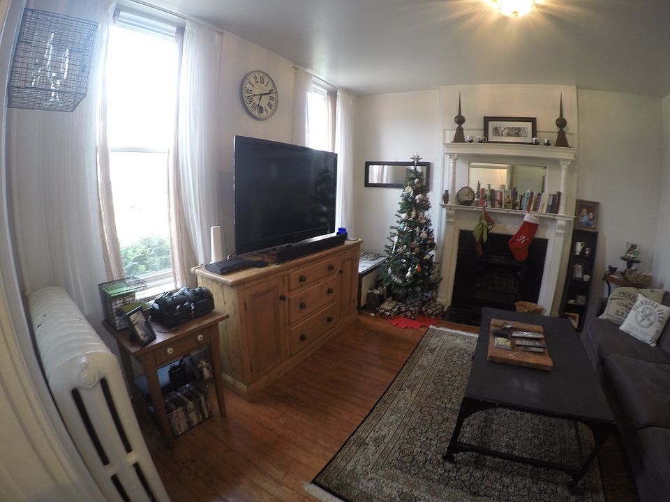 Living room, tons of natural light.