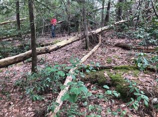 0 Northcutts Cove Rd, Altamont, TN 37301