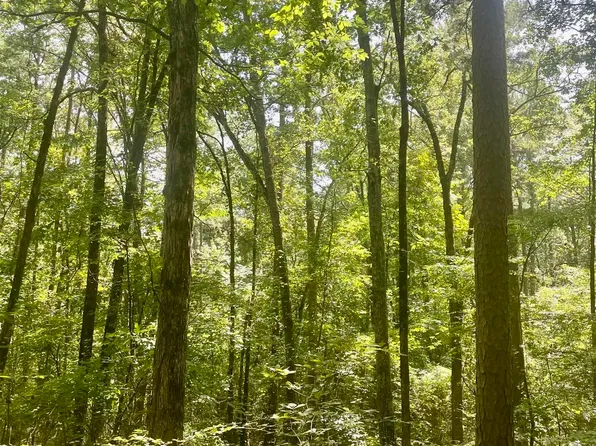 Blackland Rd, Oil Trough, AR 72564