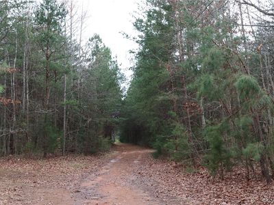642 Amelia Springs Rd, Jetersville, VA, 23083