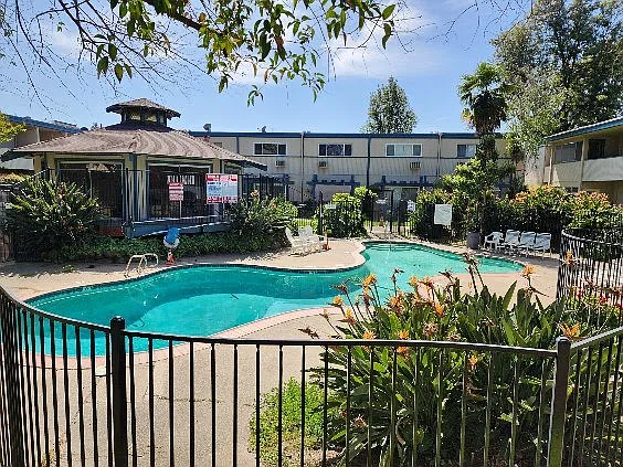 Pool and Garden