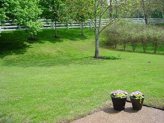 Spacious back yard and patio