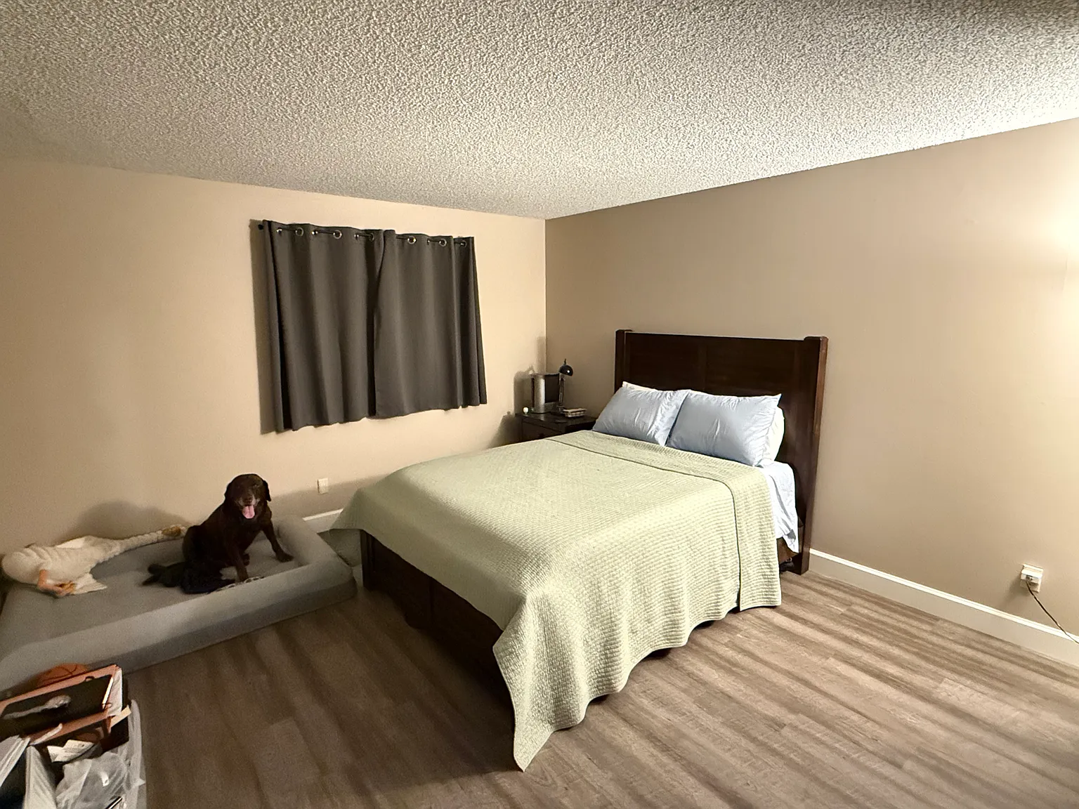 1 bed, 812 sqft, $1,750 — Photo 4