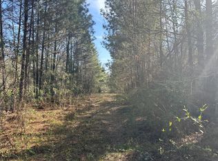 Road 3813, Cleveland, TX 77328