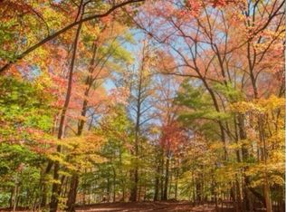 2.06 River Ridge Ln, Blue Ridge, GA 30513