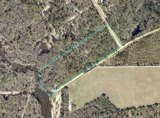 Jarriels Bridge Spur, Collins, GA 30421