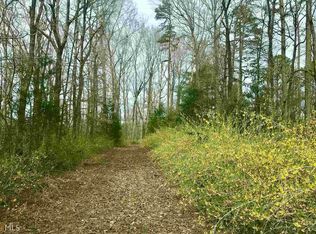 1704 Roundtop Rd, Ellijay, GA 30540