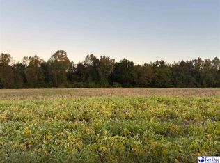 2014 Timmons Rd, Effingham, SC 29541