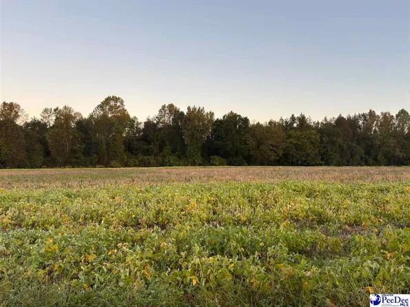 2014 Timmons Rd Lot 10, Effingham, SC 29541