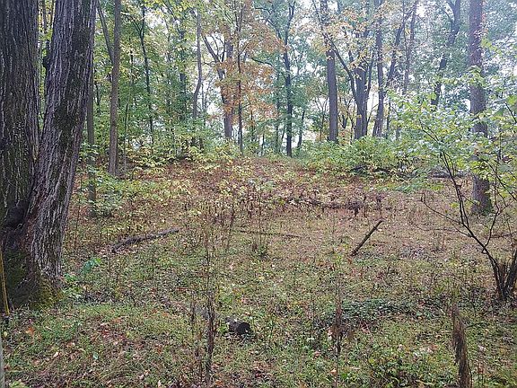 5th image of Basswood Ln