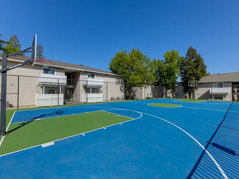 Basketball Court