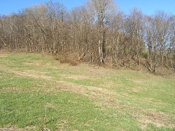 2nd image of 1 Grizzly Ln Lot 1