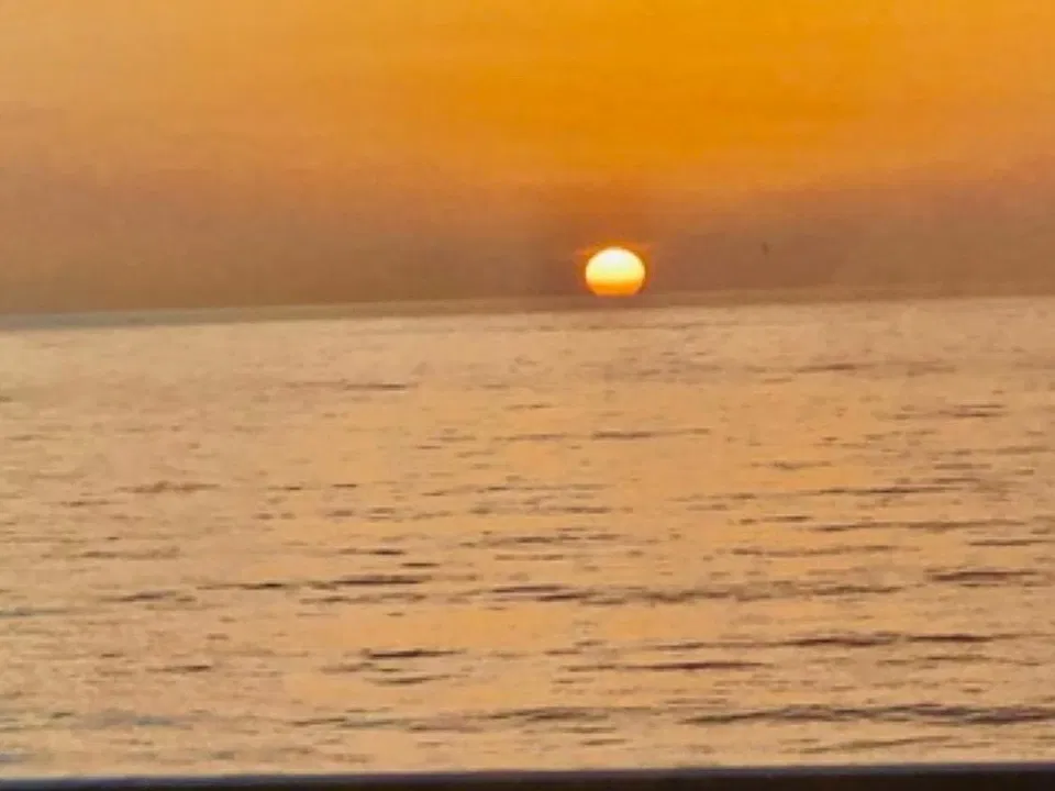 2225 Highway A1A #411