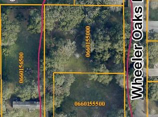 933 W Wheeler Rd, Brandon, FL 33510