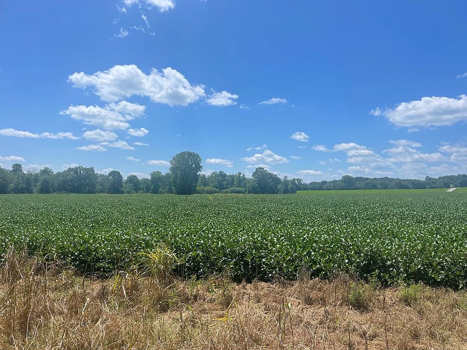 2nd image of Ditty Rd