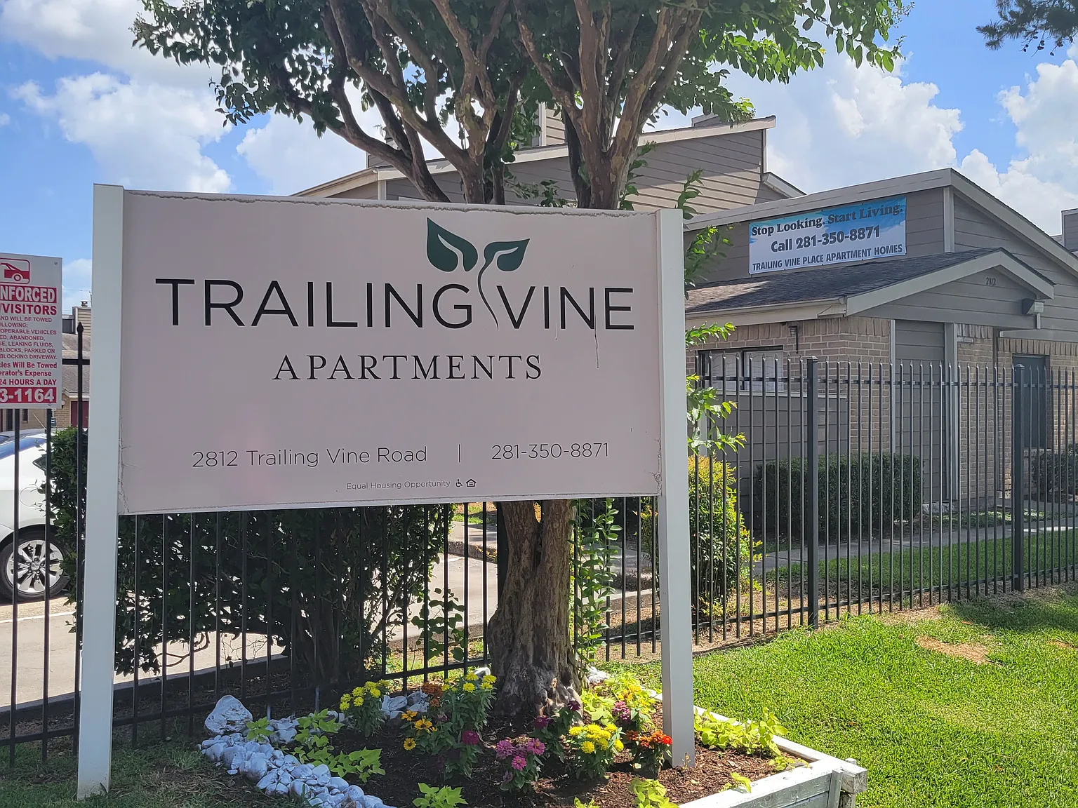 Trailing Vine Apartments — Photo 3