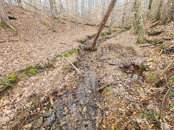 29th image of this home