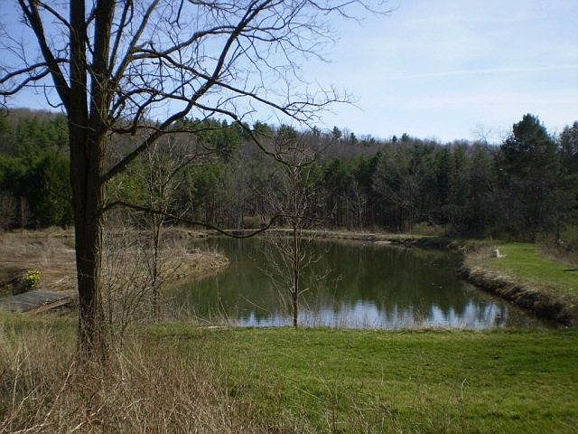 2nd image of 1260 Jackson Creek Rd