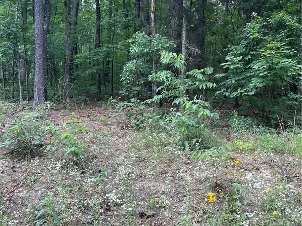 0 Muriel Dr, Vance, AL 35490
