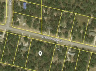 232 Encino Torcido, Adkins, TX 78101