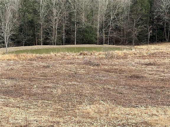 2nd image of County Road 46 Lower Ravine Rd #10