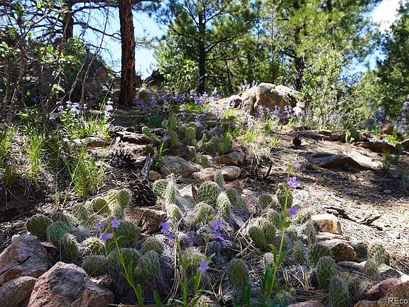 5th image of 2871 Marcey Road