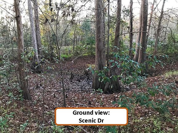 3rd image of Scenic Dr