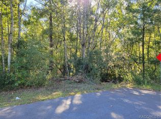 1487 S Candlenut Ave, Homosassa, FL 34448