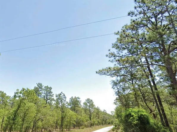 NW Summerfield Ave Lot 42, Dunnellon, FL 34431
