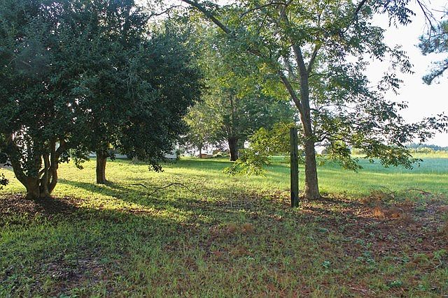 2nd image of 2964 Morgan Rd
