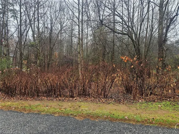 2040 Jefferson Oaks Dr Lot 29, Rural Hall, NC 27045