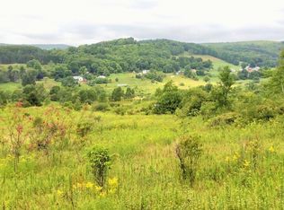 0 Adlers Way, Charlotteville, NY