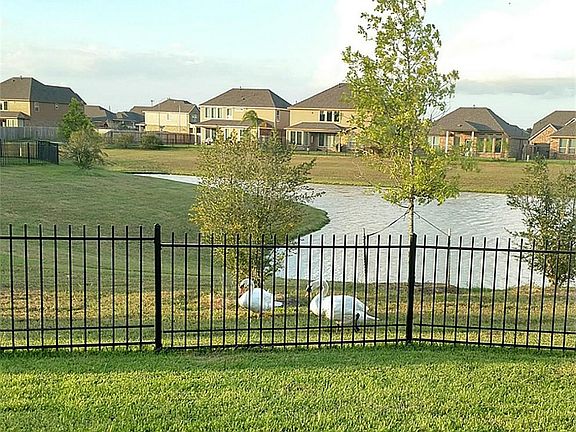 Some Local Residents of the Lake!