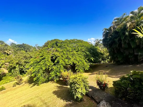 Mariana Aly, Humacao, PR 00791