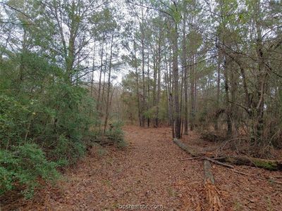 County Road 231, Shiro, TX, 77876