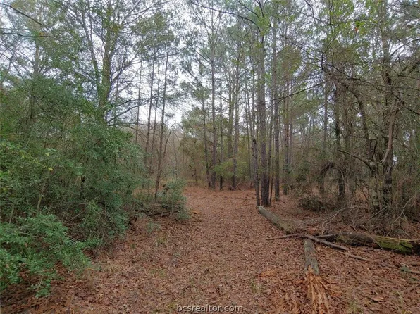 County Road 231, Shiro, TX 77876