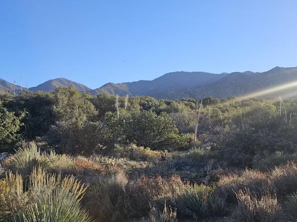 Nearwood Rd, Littlerock, CA 93543