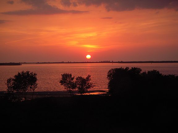 Sunset view 