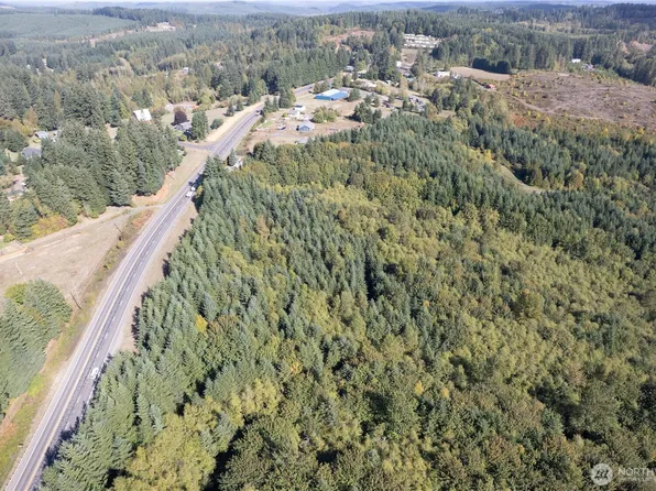 0 Lot 2 Spirit Lake Parcel WK3516012 Highway, Castle Rock, WA 98611