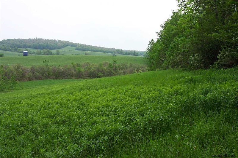 3rd image of 431 PARSONS Road