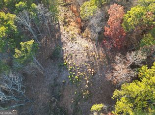 0 Canoe Way, Talking Rock, GA 30175