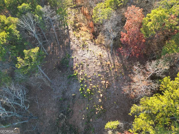 0 Canoe Way, Talking Rock, GA 30175