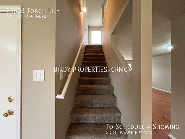 25803 Torch Lily — Photo 22