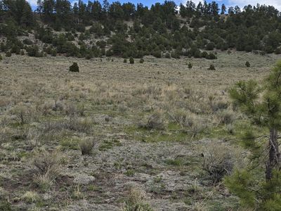 Tbdd Cres #634.4, Gardner, CO, 81040