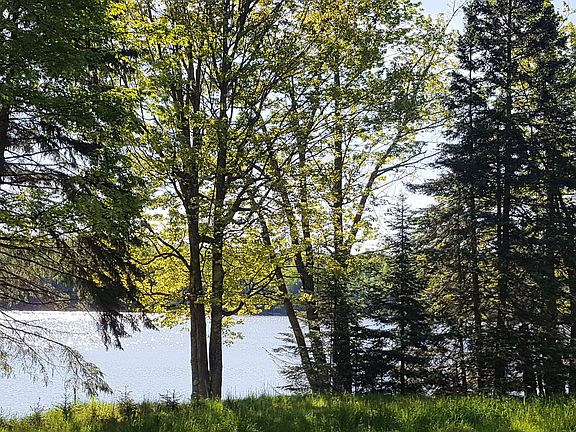 4th image of E3404 Duck Lake Raod W
