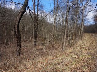 12 Township Rd, Brinkhaven, OH 43006